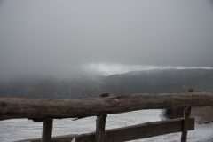 Schwarzwald / Forêt noire