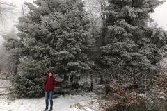 Forêt noire / Schwarzwald