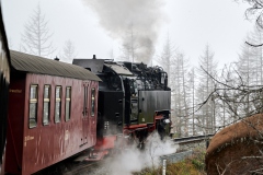 Harz-21