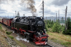 Harz-30