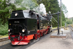 Harz-31