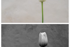 4A4C71B3-D822-43DB-ADC0-1ABA7EE14670