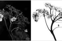 76518ADE-6F8A-49B0-B736-5F57CB9A4535