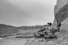 Nubra