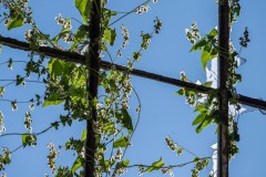 WPT_2023_lumivers_007