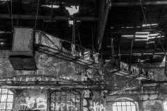 WPT_2023_lumivers_008