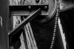 WPT_2023_lumivers_014