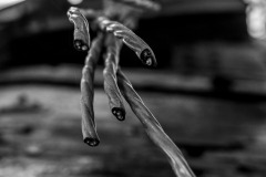 WPT_2023_lumivers_016