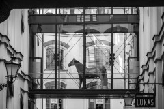 WPT_2023_lumivers_053