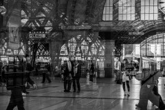 WPT_2023_lumivers_057