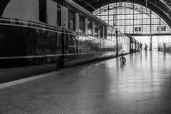 WPT_2023_lumivers_060