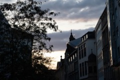 WPT_2023_lumivers_065