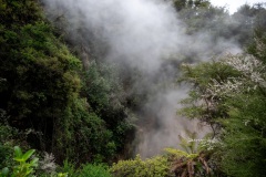 Thermal Valley Waikarei