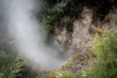 Thermal Valley Waikarei