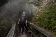 Thermal Valley Waikarei