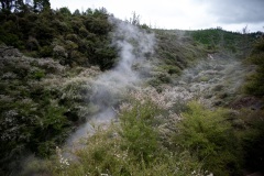 Thermal Valley Waikarei