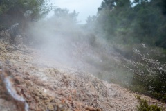 Thermal Valley Waikarei