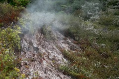 Thermal Valley Waikarei