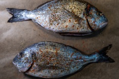 KW 06 - Gegenverkehr