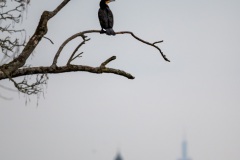 KW 08 - alles im Blick