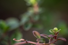 KW 15 - Wiederholung