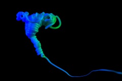 KW 31 - von einem anderen Planet