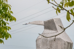 Lumivers / eine große Fliege für einen großen Vogel