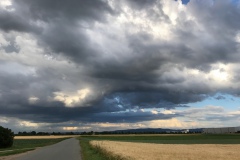 Lumivers / letzte Tropfen vor der Hitzewelle